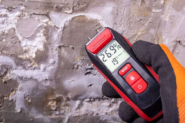 Best Emergency Mold Removal  in Lebanon, OR